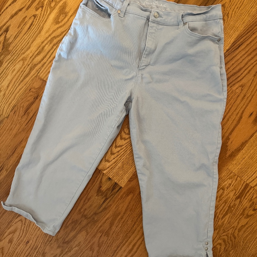 Gloria Vanderbilt slimming Amanda Capri 14